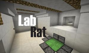 İndir Lab Rat için Minecraft 1.12